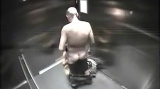 Amateur couple fuck in elevator - pornrough.com